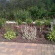 Photo #5: Pedro Quality landscape services