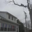 Photo #6: Chuck D's Tree trimming/removal