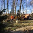Photo #1: Fallen Timbers Complete Tree Care