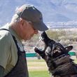 Photo #1: PROTECTION DOGS - The K9 Coach