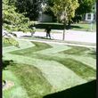 Photo #8: CLC - Creative Lawn Care - Premium Detailed Lawn Specialist