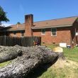 Photo #3: Tree Removal. Lot Clearing and Grading Services