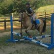Photo #5: Autumn Sun Stables. Horseback Riding Lessons
