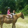 Photo #8: Autumn Sun Stables. Horseback Riding Lessons