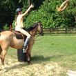 Photo #10: Autumn Sun Stables. Horseback Riding Lessons