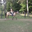 Photo #11: Autumn Sun Stables. Horseback Riding Lessons