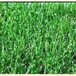 Photo #1: R&R lawn cutting services at $19.99