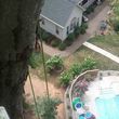 Photo #3: Tree climber Justin for hire