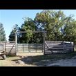 Photo #5: Horse Boarding Summer Specials! Freedom Hill Stables