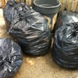 Photo #1: McCrae Trash Disposal