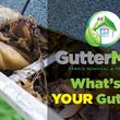 Photo #1: GutterMaid. Worry-free scheduling!