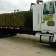 Photo #1: L&H GRASS FARMS 100% CLEAN NO MIX GREEN GUARANTEED...