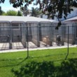 Photo #3: Wilderness Kennels. Dog Boarding and Training