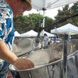 Photo #3: Tropical Music, Steel Drums, Guitar & Vocals