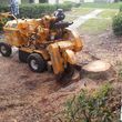 Photo #2: MCB STUMP CUTTERS