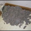 Photo #4: Dryer Vent Cleaning! Dry Clothes Fast Again!