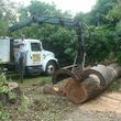 Photo #1: ABE's Tree Care and Stump Grinding