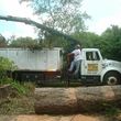 Photo #4: ABE's Tree Care and Stump Grinding