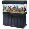 Photo #11: AQUARIUM SERVICES AND AQUARIUM LEASING!
