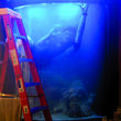 Photo #5: AQUARIUM SERVICES AND AQUARIUM LEASING!