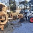 Photo #6: Tree & Lawn Care Services Available! Middleton Tree Worx