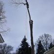 Photo #5: Tree & Lawn Care Services Available! Middleton Tree Worx