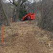 Photo #2: BRUSH MOWING, BRUSH HOGGING