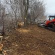 Photo #1: BRUSH MOWING, BRUSH HOGGING