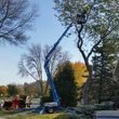 Photo #3: CK Lawn & Landscape. Tree Trimming, Brush Chipping & Stump Grinding