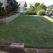 Photo #2: Cheapest Landscaping & Yard Service