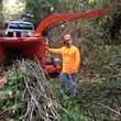 Photo #9: TREES, TREES, TREES, Landscape and tractor work
