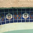 Photo #1: Swimming Pool Tile Cleaning