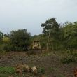 Photo #19: LAMM'S AGRICULTURAL BULLDOZING - LAND CLEARING AND ORCHARD