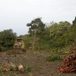 Photo #18: LAMM'S AGRICULTURAL BULLDOZING - LAND CLEARING AND ORCHARD