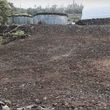 Photo #8: LAMM'S AGRICULTURAL BULLDOZING - LAND CLEARING AND ORCHARD