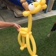 Photo #12: BALLOON GUY for Baby Luau, Parties, Etc.