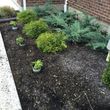 Photo #3: CME Lawn Care & Landscaping