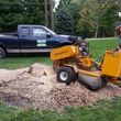 Photo #2: BT Express. Stump grinding, Tree Service, and Brush removal