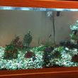 Photo #1: Aquarium Cleaning at 50 dollars for one tank