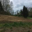 Photo #9: Curry Outdoors Inc. AFFORDABLE LAND CLEARING
