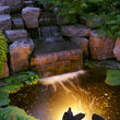 Photo #1: Frugal Water Gardens & Landscaping