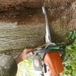 Photo #4: NO BULL TREE SERVICE