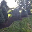 Photo #2: Bork Landscaping, llc. Landscaping/Tree Removal