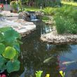 Photo #12: KOI PONDS & WATERFALLS