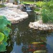 Photo #9: KOI PONDS & WATERFALLS