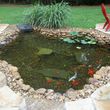 Photo #4: KOI PONDS & WATERFALLS