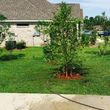 Photo #4: Matts landscaping -weedeating, trimming bushes, mowing...