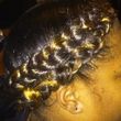 Photo #4: SEW IN, BRAIDS, DREADS CHEAP! COLOR $15!!!