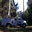 Photo #9: HAMMCO TREE SERVICE