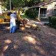 Photo #7: HAMMCO TREE SERVICE